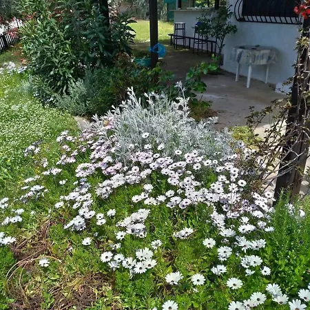 Persefoni House Nyaraló Áfiszosz