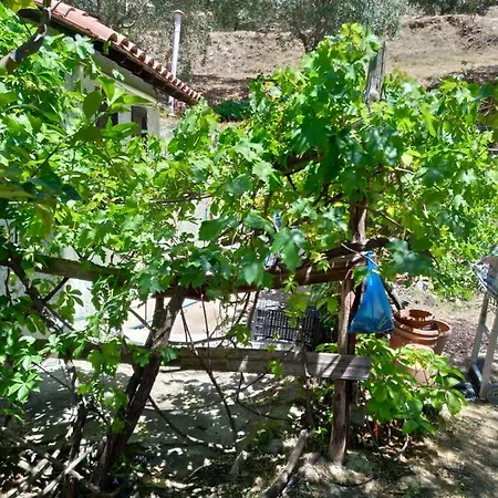 Persefoni House Nyaraló *