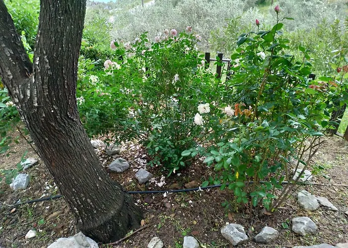 Persefoni House 度假居